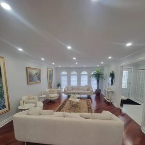 IMG_20241201_184508_131